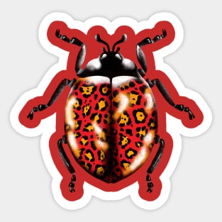 Leody Bug Sticker